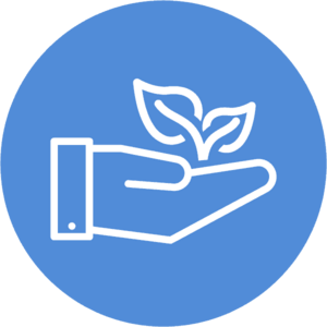 Wie Werte Wachsen - Werte Ebenen für Unternehmen