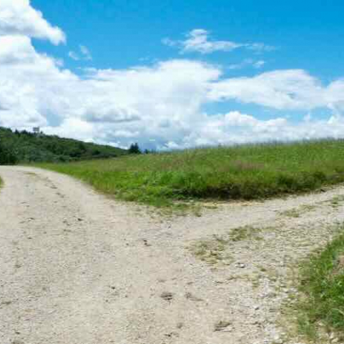 Besser qualifizierte Entscheidungen treffen