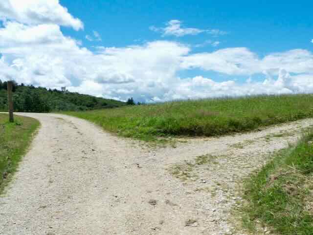 Besser qualifizierte Entscheidungen treffen