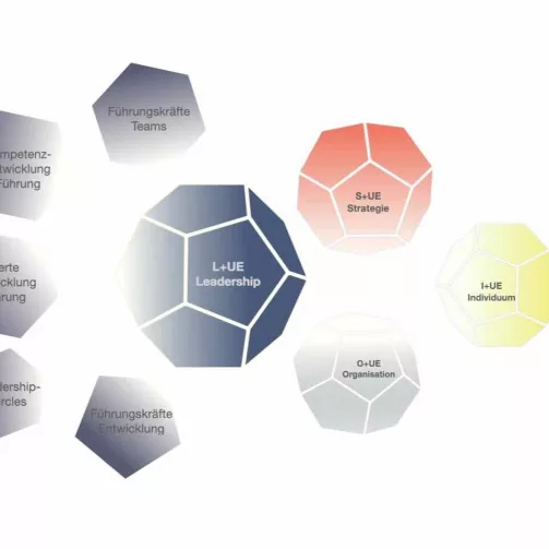 Leadership und Unternehmensentwicklung