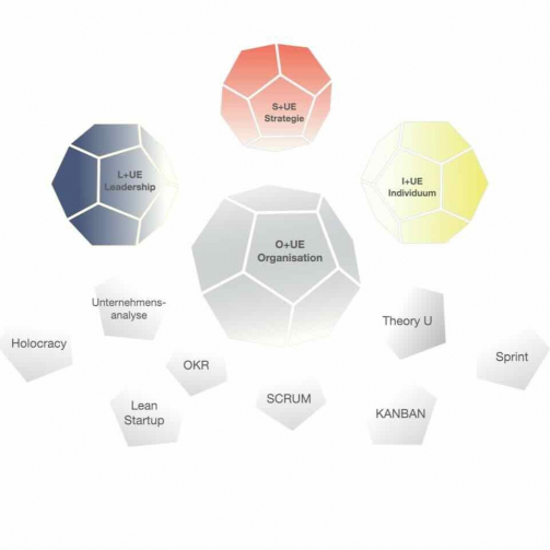 Kraftvolle Organisationen und Unternehmensentwicklung